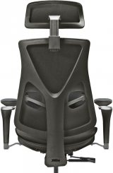 Healthy Chair Balance